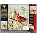 Plaid Creates Paint by Number Kit (16 by 20-Inch), 21737 Cardinals & Cherry Blossoms