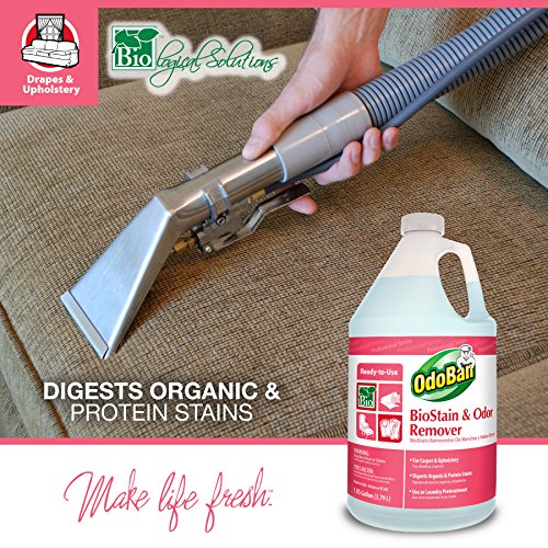 OdoBan Professional Cleaning BioStain and Odor Remover Gallon and Spray