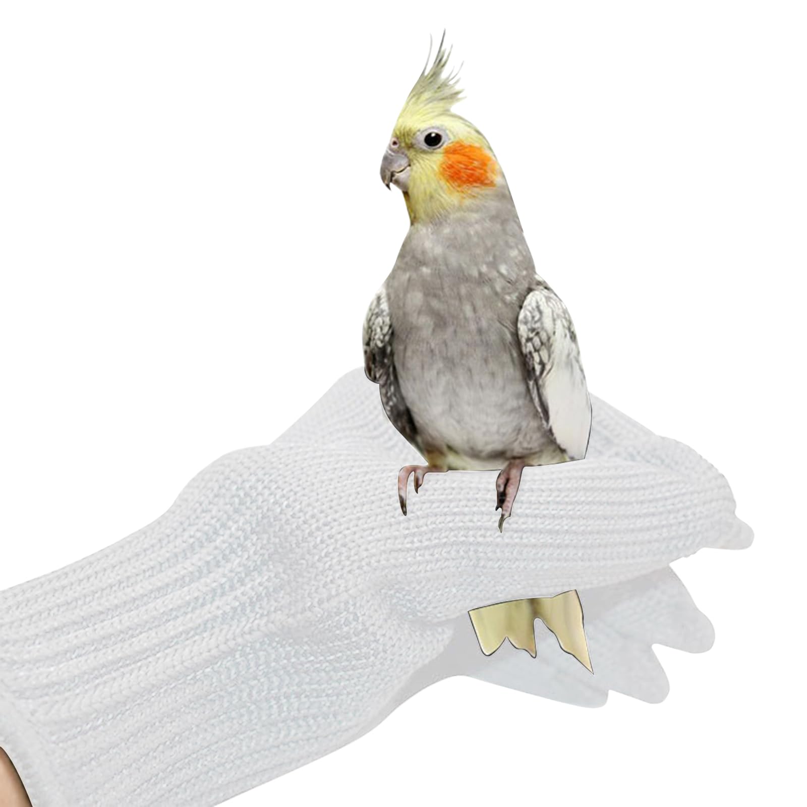 NCONCO 1 Pair Anti- Bite Gloves for Parrots, Bird Training Gloves, Small Animals Handling Wire Gloves and Protective Steel Wire Gloves Chewing (White)