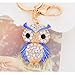 Aibearty Fashionable Creative Diamond Crystal Rhinestone Blue Owl Keychain Bag Charm Pendent