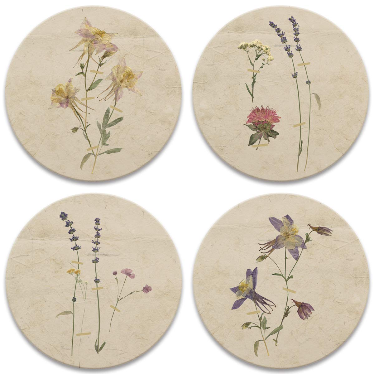 CoasterStone AS459 Drink Coasters, 4.25", Pressed Flowers