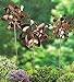Plow & Hearth Set of 3 Metal Pinwheel Decorative Garden Stakes 7 L x 4.25 W x 22 H Copper Finish