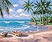DIY Paint by Numbers Kit for Adults - Summer Time Sea Palt Tree | Paint by Numbers Landscape PaintingsArts Craft for Home Wall Decor | Pre-Printed Art-Quality Canvas, 3 Brushes, 24 Acrylic Paints
