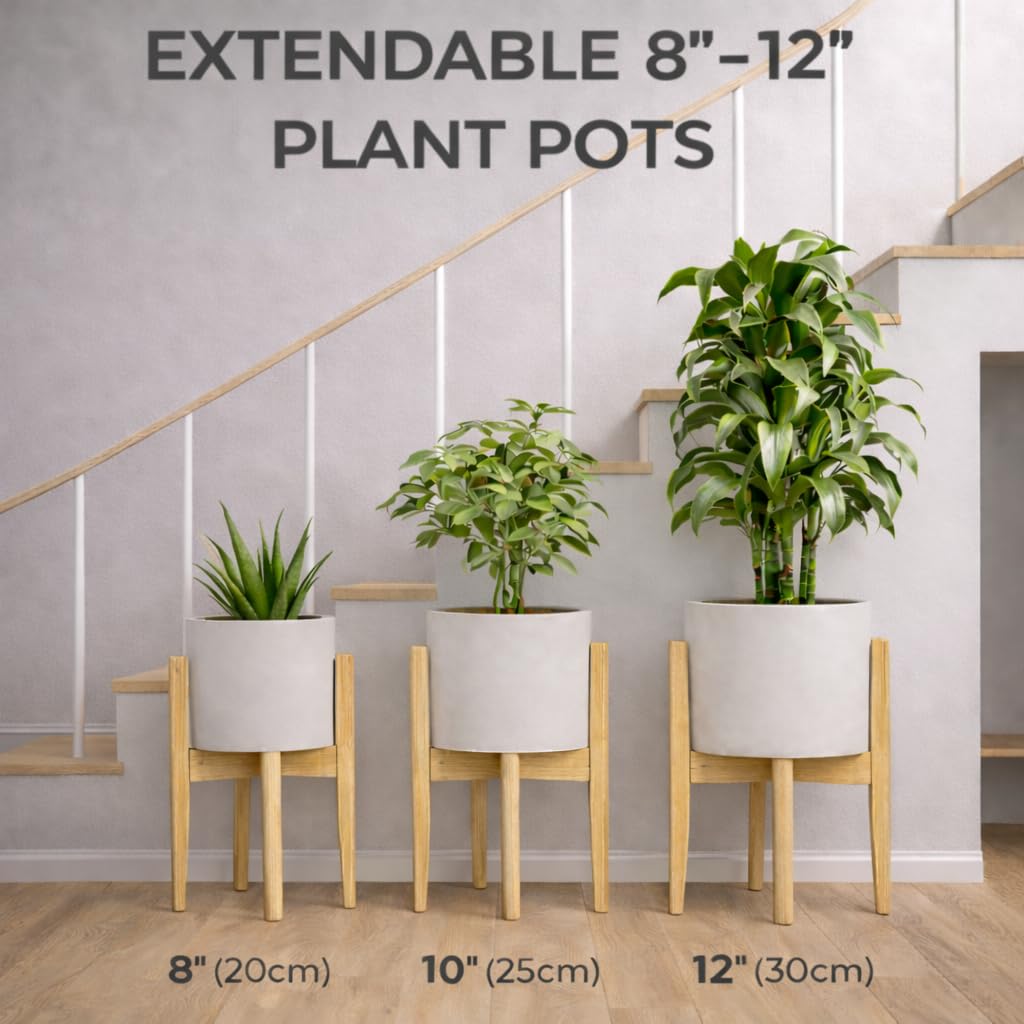 View 2