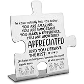 You are Incredibly Important Appreciated Decor Sign For Women, Thank you Appreciation Gifts for Coworkers Mentor Teacher Nurse, Going Away Gift Retirement Gift for Coworker Boss Friend-DX130