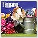 Guinea Pigs 2017 Square