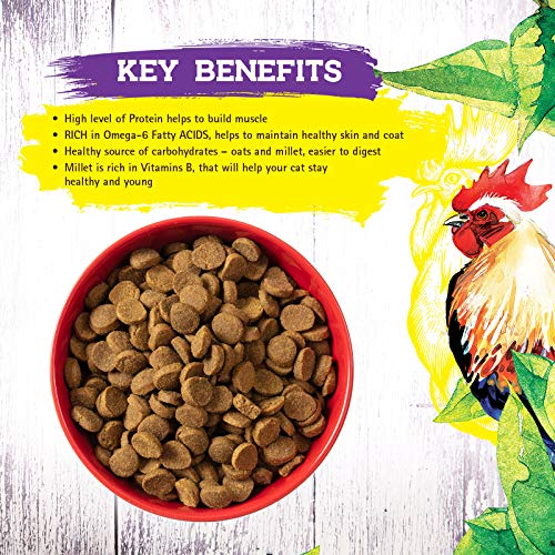 Inception Dry Cat Food Chicken Recipe Complete and Balanced Cat Food