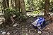 TETON Sports Oasis 22L Hydration Pack with Free 3-Liter water bladder; The perfect backpack for Hiking, Running, Cycling, or Commuting
