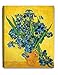 DECORARTS - Irises Vase Flower, Vincent Van Gogh Art Reproduction. Giclee Canvas Prints Wall Art for Home Decor 20x16