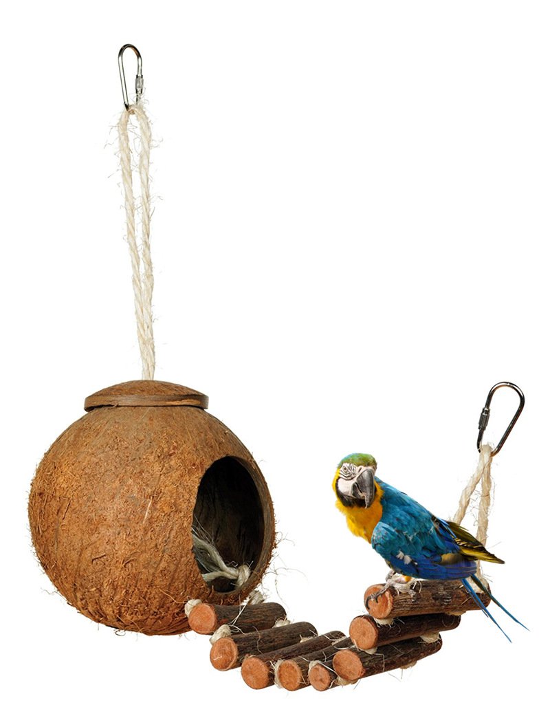 QTMY Natural Coconut Shells House with Wood Hideaway Ladder for Bird Trainning Toy Bridge Swings