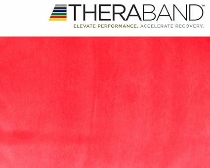 Thera-Band Original 2,5m + Original 24-seitiges Übungsbuch gratis