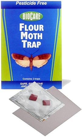 Amazon Com Biocare Flour And Pantry Moth Traps With Pheromone
