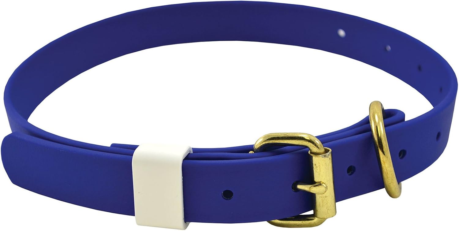 Amazon.com : Biothane Dog Collar : Pet 