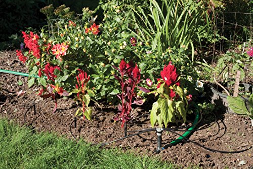 Rain Bird Drip Irrigation Kit - Image 3