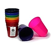 Rolling Sands 16 oz. Reusable Plastic Stadium Cups, 8 Pack, Made in USA, BPA-Free Dishwasher Safe Tumblers, Rainbow