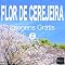 Livro FLOR DE CEREJEIRA Imagens Grátis 2 BEIZ images - Fotos Grátis