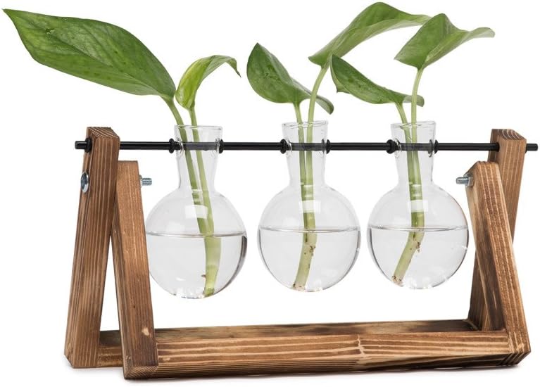 Hyindoor Propagation Station with Vintage Wooden Stand and Glass Vases