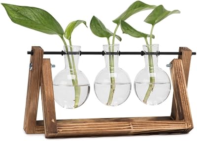 Hyindoor Propagation Station with Vintage Wooden Stand and Glass Vases