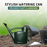 Accurate 6L Watering Can with Sprinkler Rose Green garden tool view 8