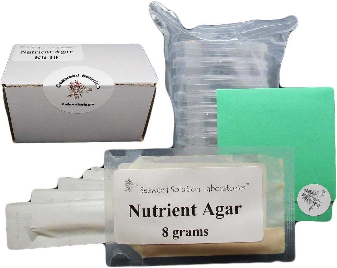 Amazon Com Nutrient Agar Kit Includes Nutrient Agar Dehydrated 10 Sterile Petri Dishes With Lids 10 Sterile Cotton Swabs Toys Games