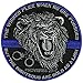 The Righteous Are Bold As a Lion Patch for Law Enforcement - By Ivamis Trading - 3.5x3.5 inch