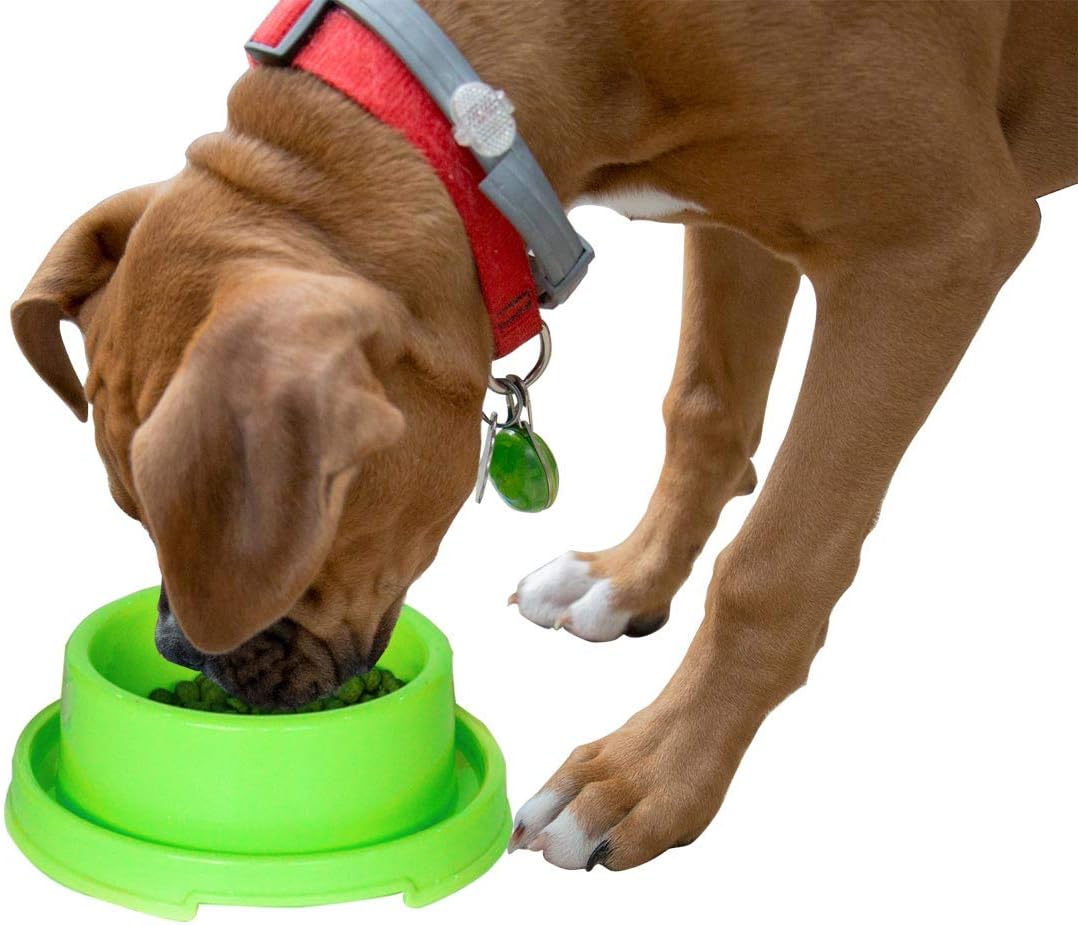 pro pac puppy food feeding chart