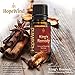 King's Remedy, Immune Boosting, Germ Virus Fighter, Optimum Health 100% Pure Therapeutic Grade Unique Formula, Full 15ml/0.5oz - by HopeWind