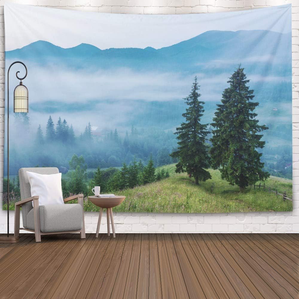 EMMTEEY Mountain Wall Tapestry,Tapestries Décor Living Room Bedroom for Home Inhouse by Printed 80x60 Inches for Trees on Meadow Between hillsides with Conifer Forest in Fog Under The Blue Sky