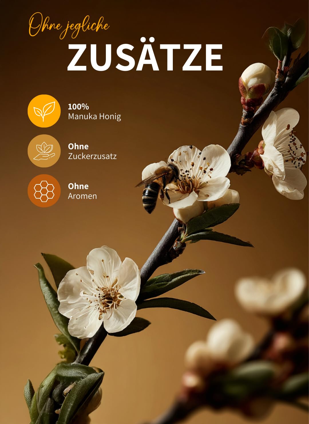 bedrop Manuka Honig mit MGO 500+ XXL Glas - 100% echter Premium Manukahonig aus Neuseeland mit zertifiziertem Methylglyoxal Gehalt (Analyse-Zertifikat) - 140g 5