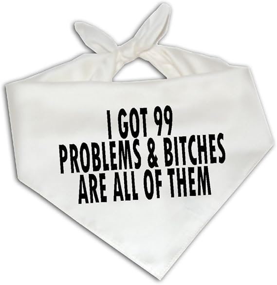 I Got Bitches All On