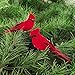 GALLERIE II Cardinal Birds Clip Christmas Xmas Ornament Assortment of 2 A/2 Red