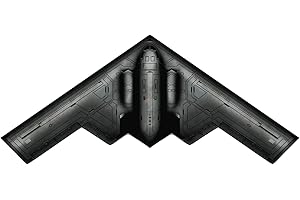 Simxkai Large Airplane kite & Bald Eagle Huge Kite,Beach Kite for Outdoor Activities