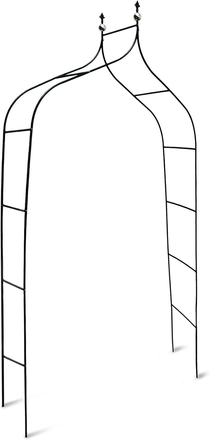 Relaxdays 10017904 - Arco para trepadoras, 1.70 x 2.4 m, Color ...