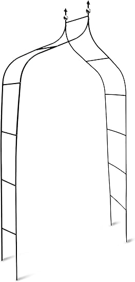 Relaxdays 10017904 - Arco para trepadoras, 1.70 x 2.4 m, Color ...