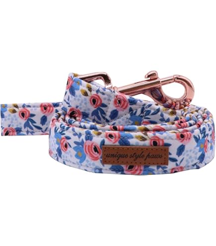 Conjunto Correa Y Collar Mascota Juego De Collar Y Correa Para Perros Pequeños/Medianos – Diseño De Huellas De Patas, Ajustable Y Resistente Polo Ralph Lauren S