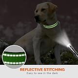 Taglory Reflective Nylon Dog Collar with Safety Buckle Green Medium 2.5cm view 5