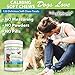 Deley Naturals Dog Calming Chews - Calming Chews for Dogs to Help Stress & Travel Sickness - Dog Calming Treats with Chamomile, Valerian Root and L-Tryptophan - 120 Calming Dog Treats Made in The USA
