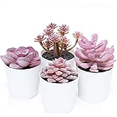 Uguisu 4-Piece Set of mini Succulent Fake Plant pots, Artificial Kuan Yin Fake Plants, Small Artificial Plant pots, Bohemian Decoration for The Family Room (Pink Purple)