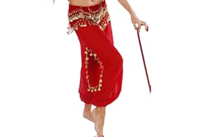 MISS BELLY DANCE Bellydancer Chiffon Harem Pants with Side Slits | Maiden Dance