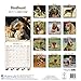 Bloodhound Calendar 2017 - Dog Breed Calendar - Wall Calendar 2016-2017