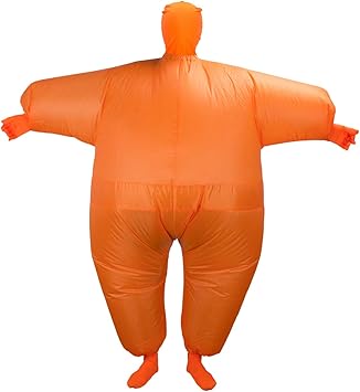 sumo gonflable amazon