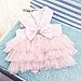 Wakeu Small Dog Girl Dress Pet Puppy Cat Lace Tutu Stripe Vest Skirt Clothes (M, Pink)