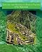 Explore the Secrets of Machu Picchu A Peru Travel Guide