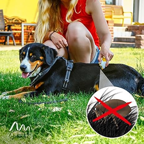 Pettine Elettrico Anti-Pulci Per Cani E Gatti - Elimina Parassiti Senza Chimica - Foto 2