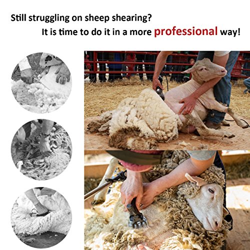 Sheep Shears Electric Clippers for Goats, Alpacas, Llamas, Thick Coat and Heavy Duty Animals, Farm Livestock Pet Supplies for Hair Fur Grooming, 380W