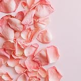 Bio-Fresh Bulgarian Rose Handmade Soap 50g - Natural Floral Scent view 2