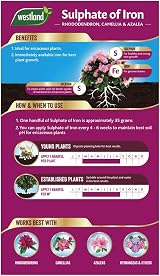 Westland Sulphate of Iron Plant Food for Ericaceous Plants 1.5 kg view 2
