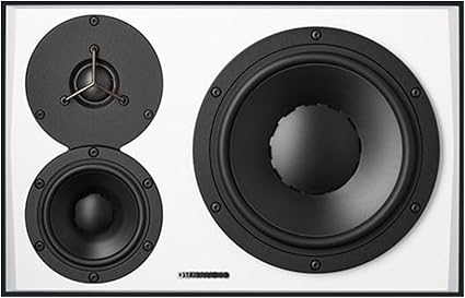 dynaudio reference speakers