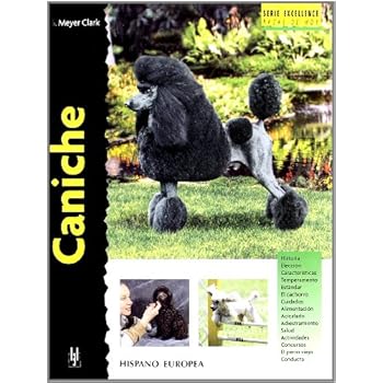 Caniche (Excellence)