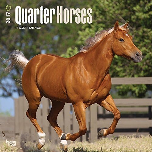 Quarter Horses Calendar 2017 ~ Deluxe Wall Calendar (12x12)